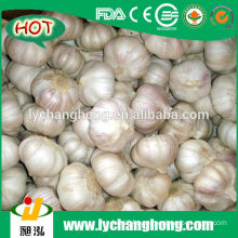 2014 Linyi New Fresh White Garlic Market Price